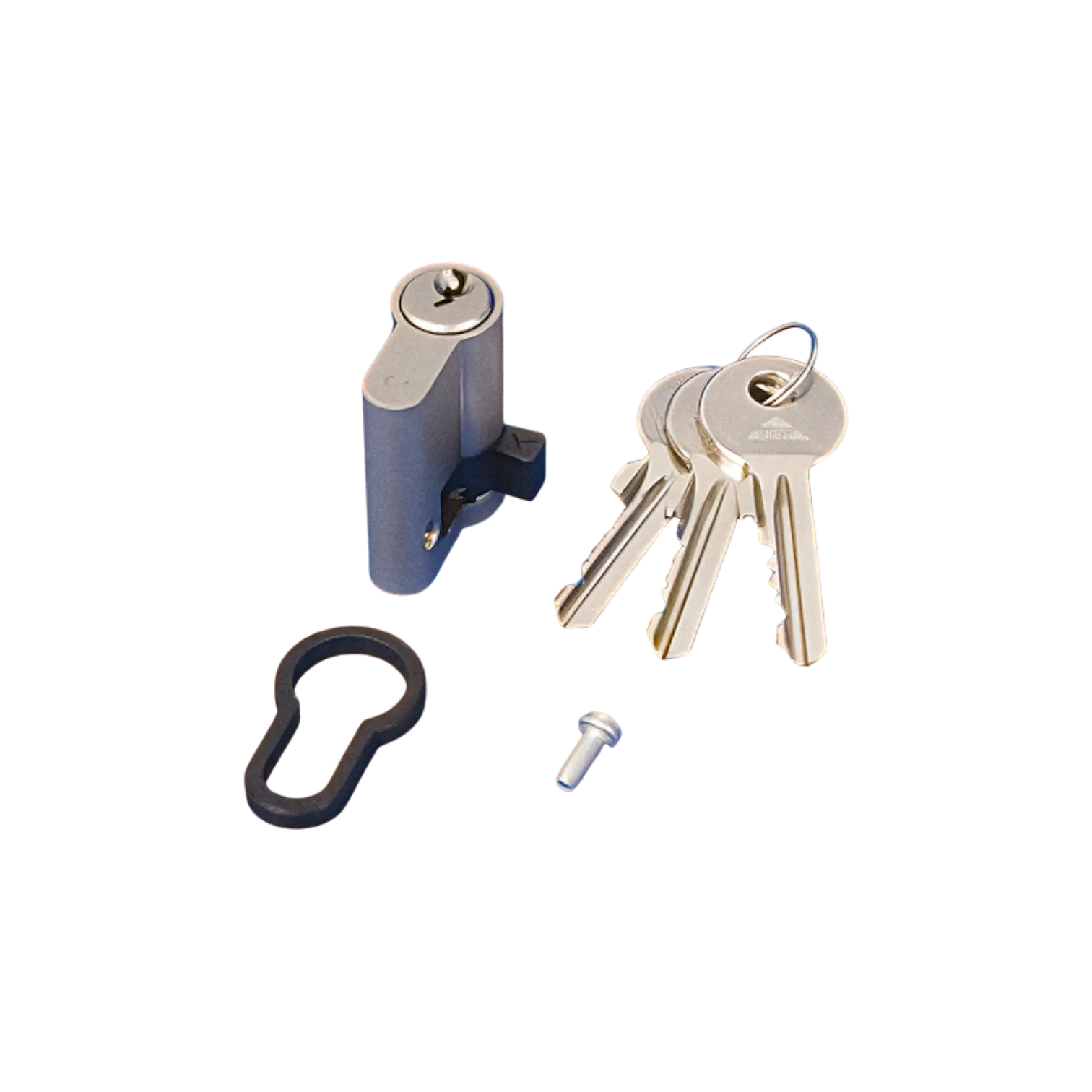 Viessmann Schließzylinder E1 mit Haarnadel drei Schlüsseln Kühlzelle Ersatzteil Kühlzelle24